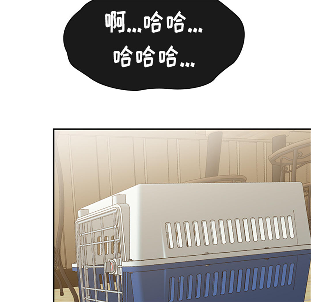 第49张