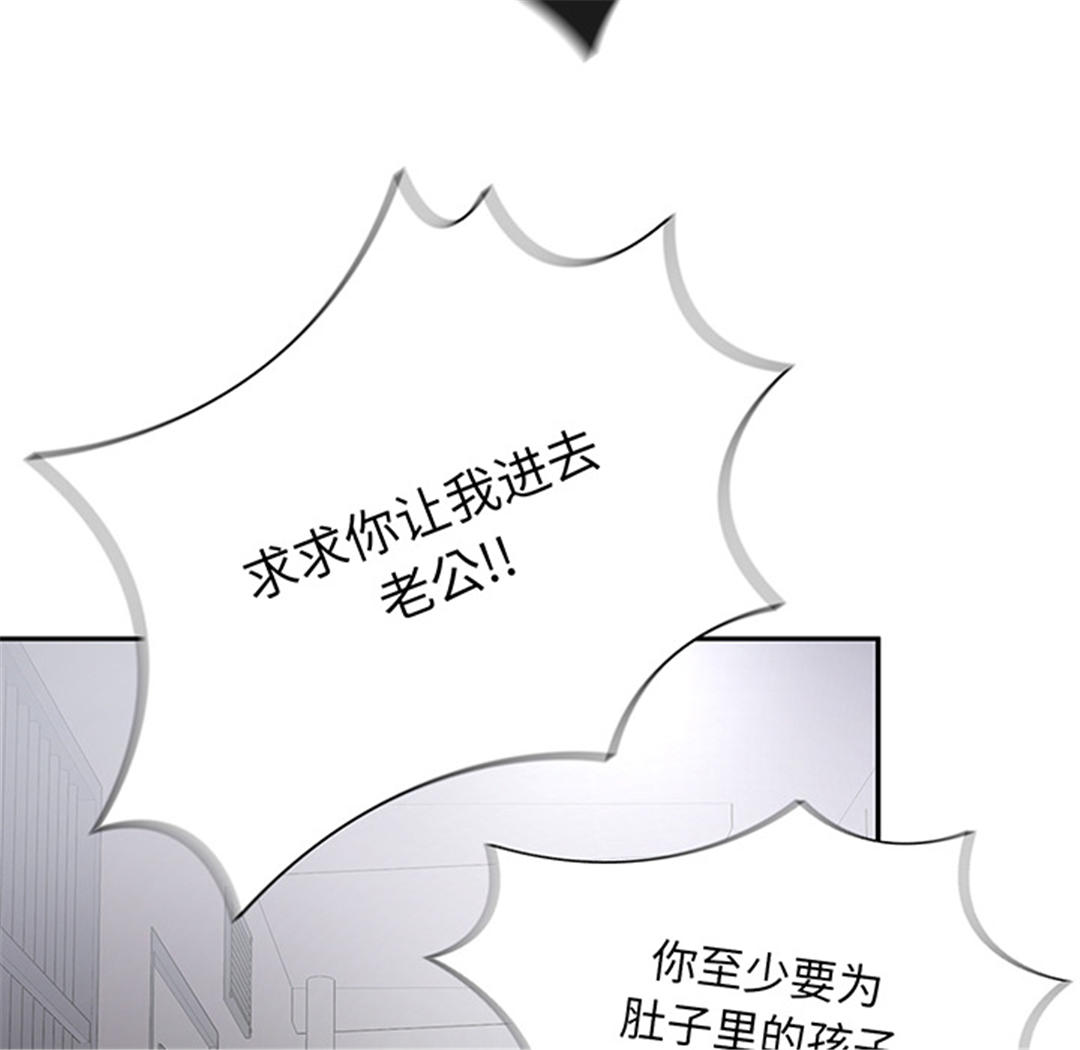 第75张