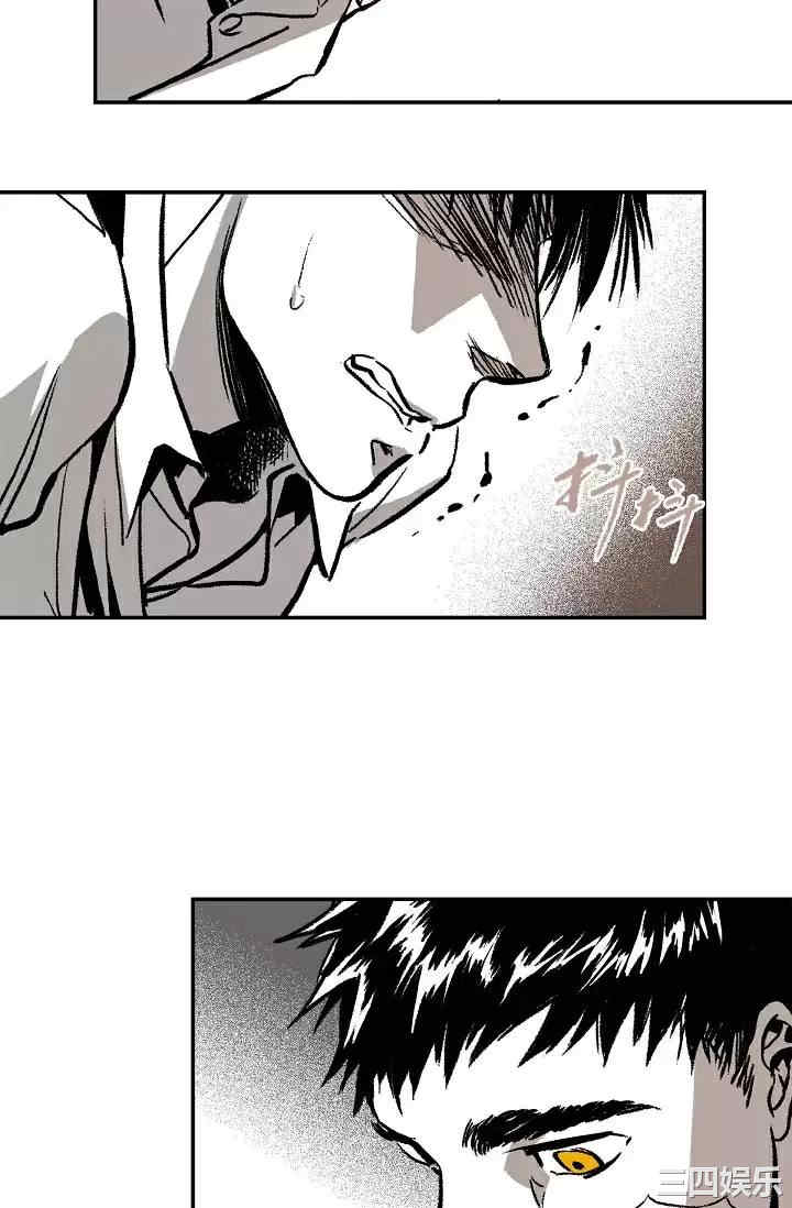第62张