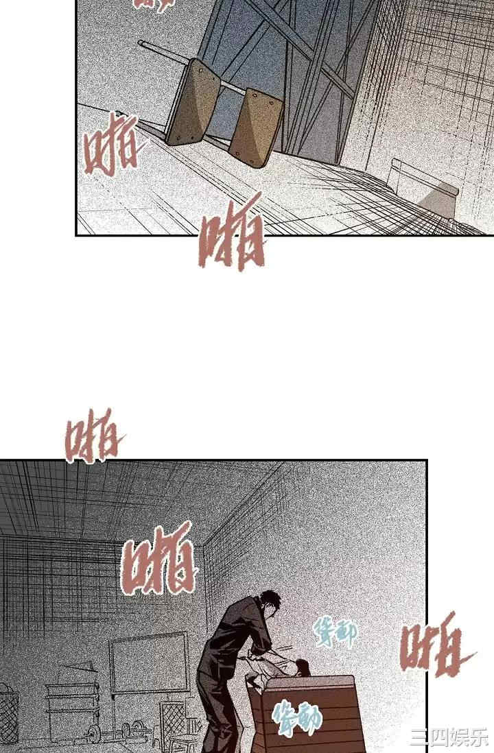 第3张