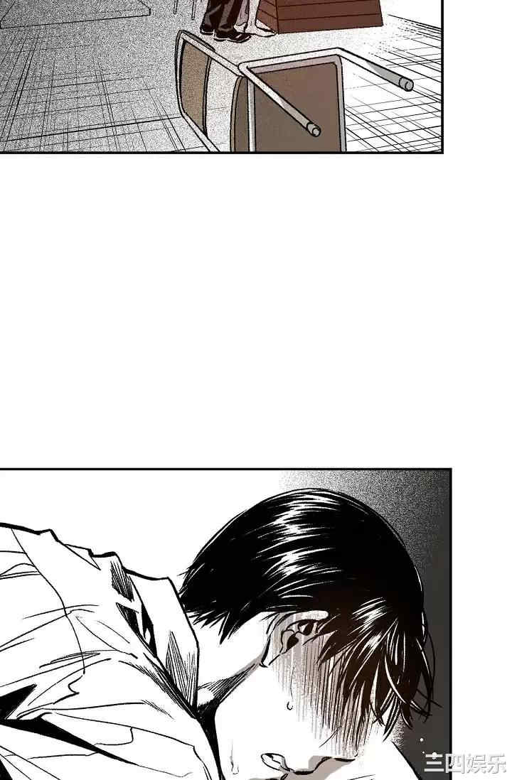 第5张