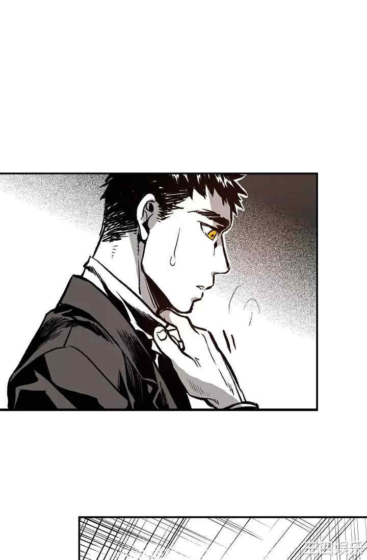 第9张