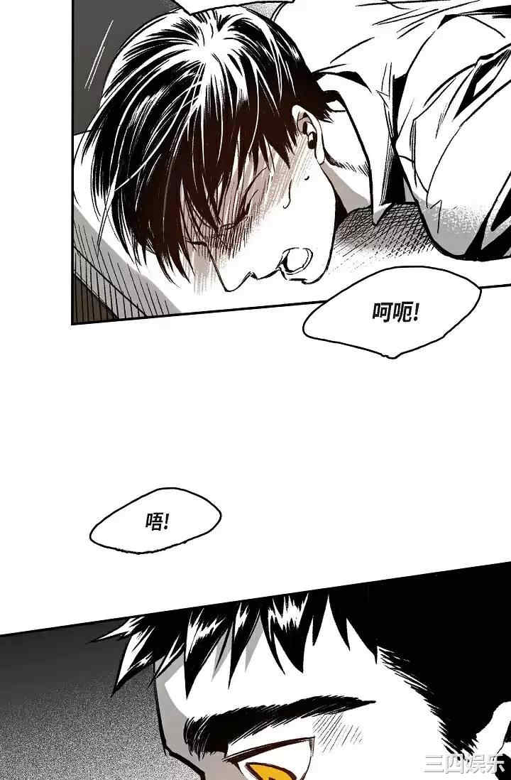 第25张