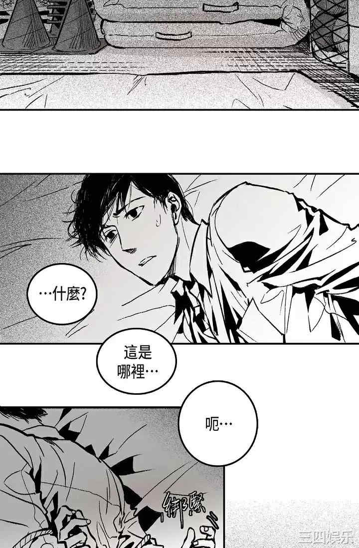 第52张
