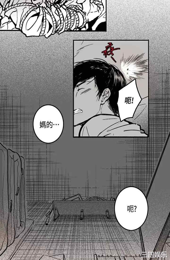 第53张