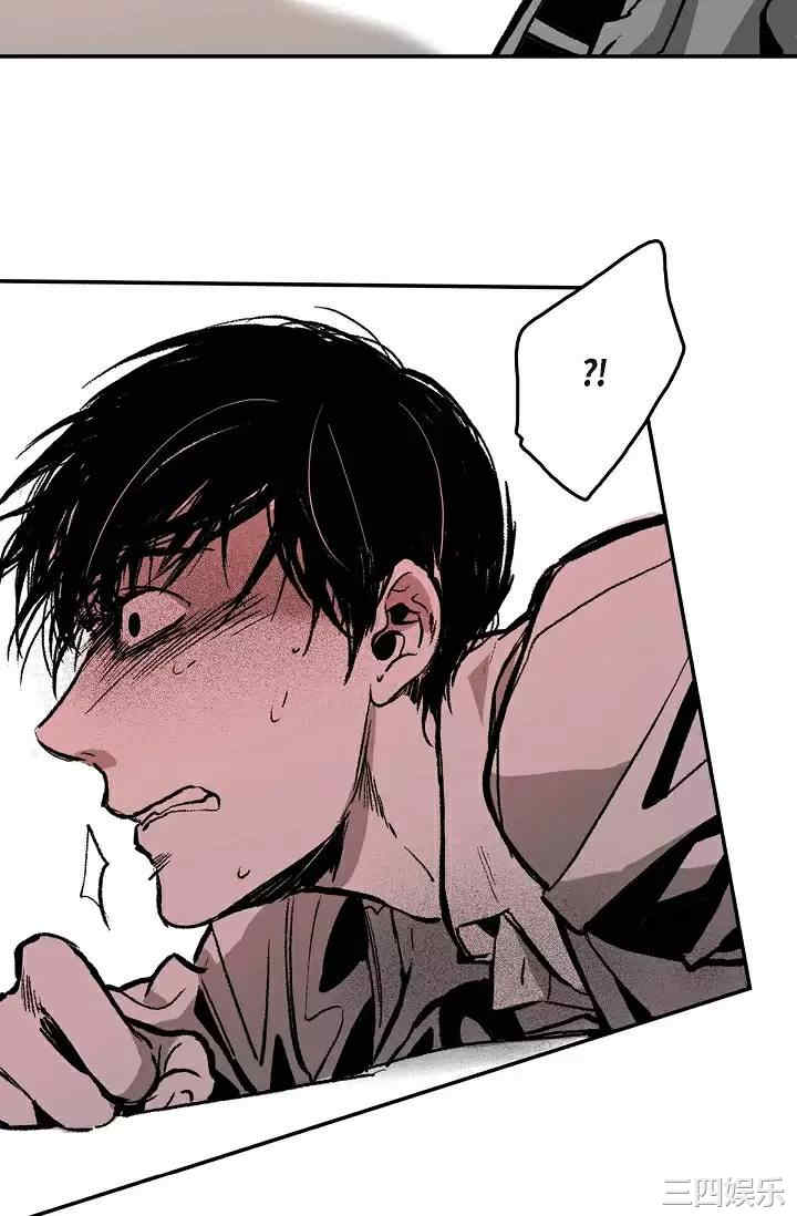 第33张