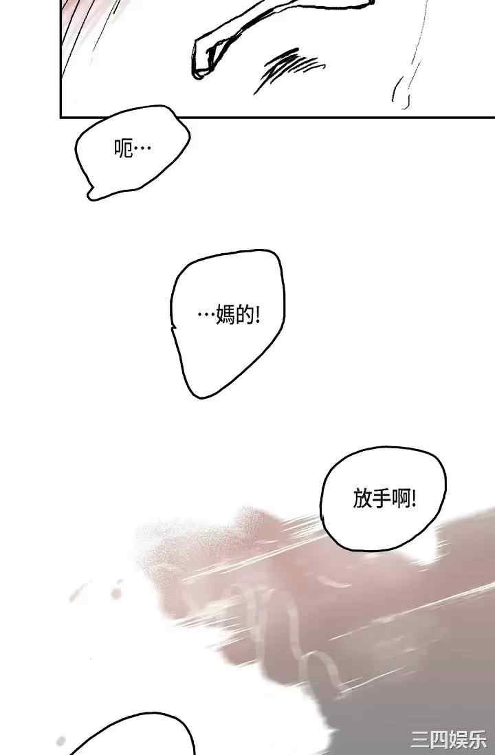 第37张