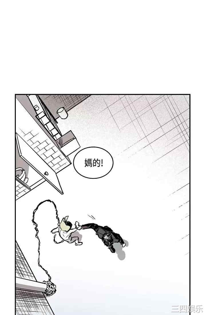 第62张