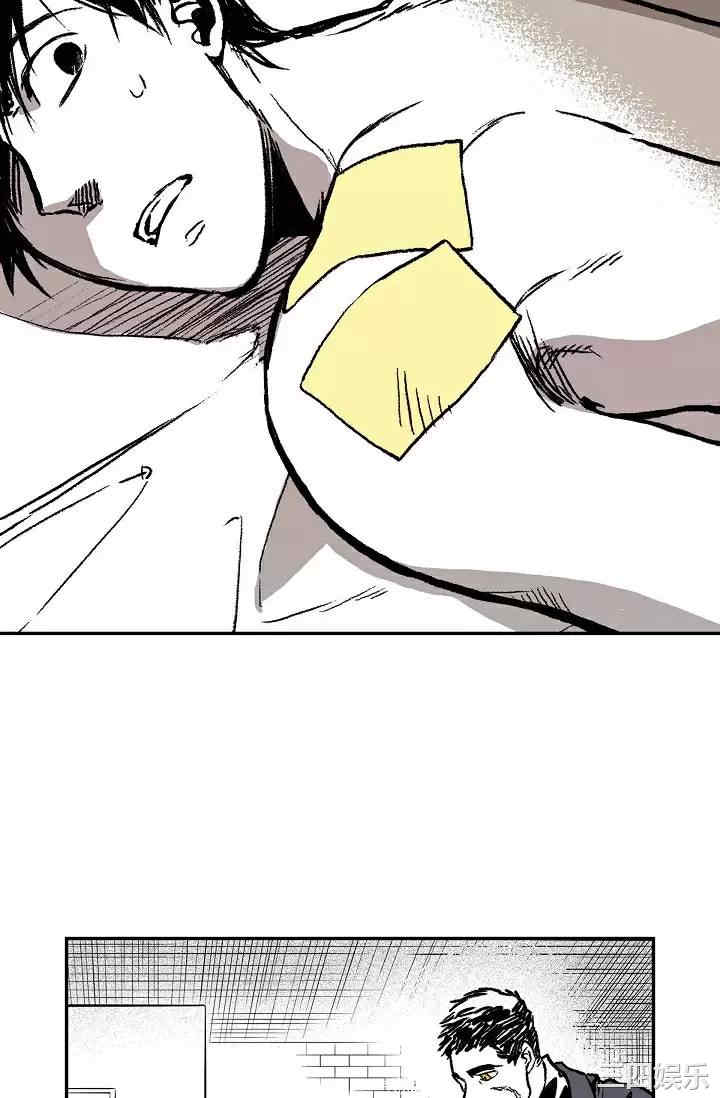第77张