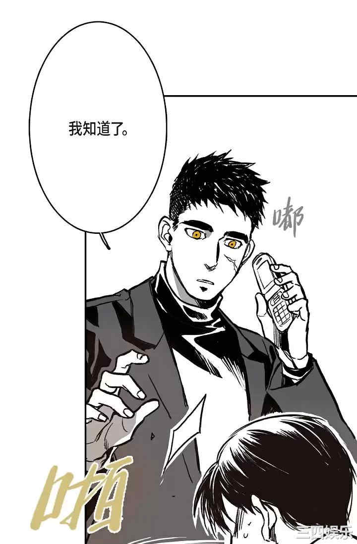 第81张