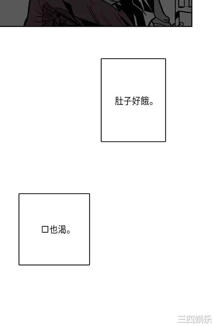 第4张