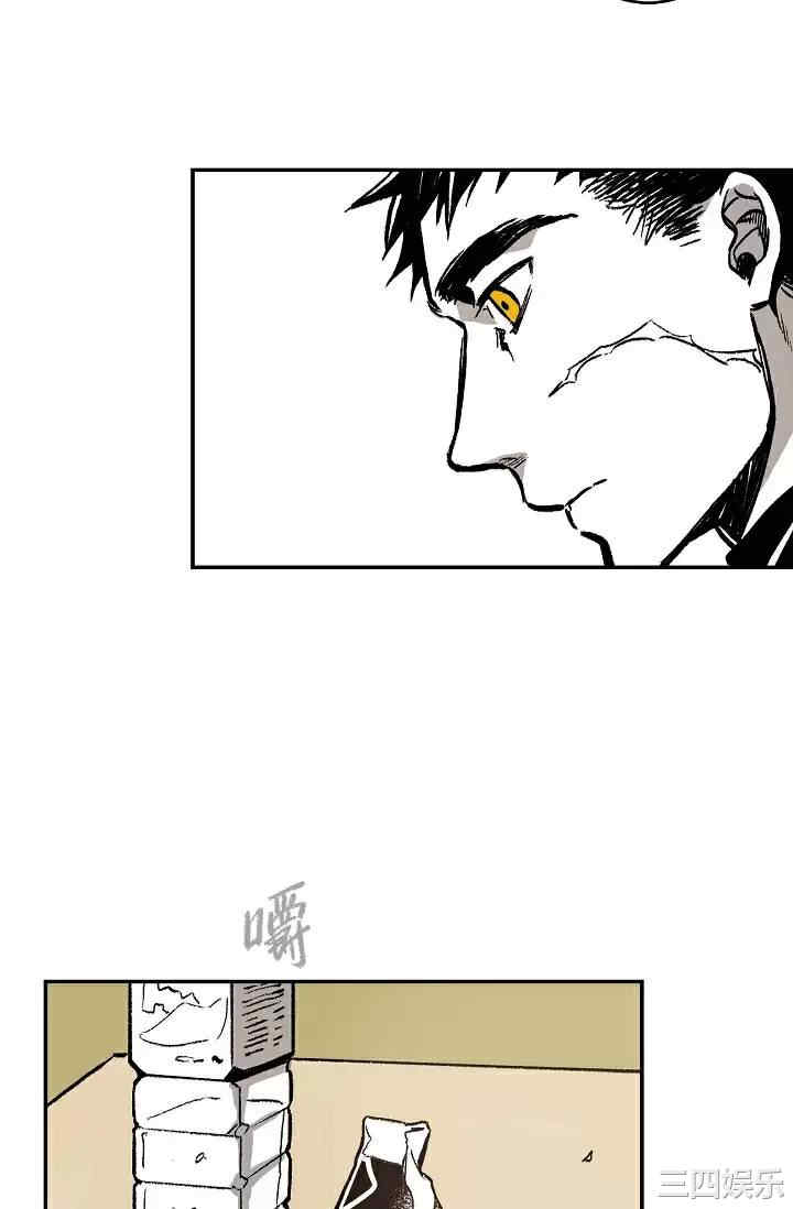 第41张
