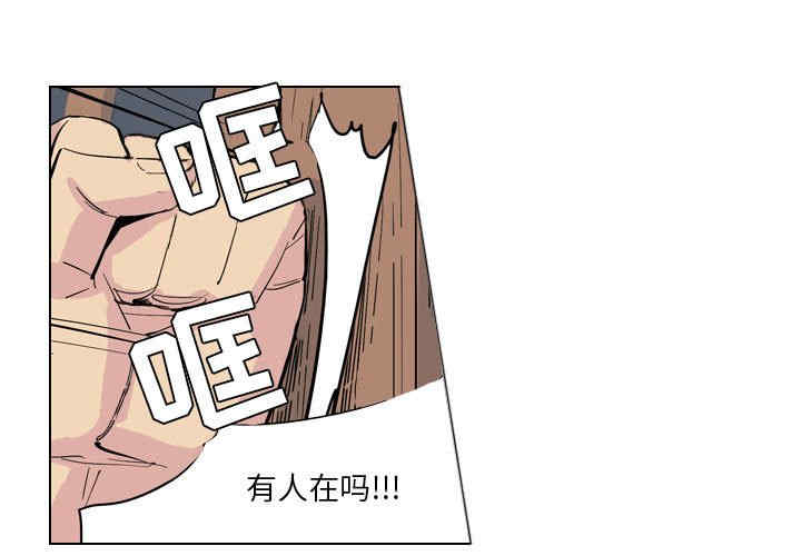 第3张