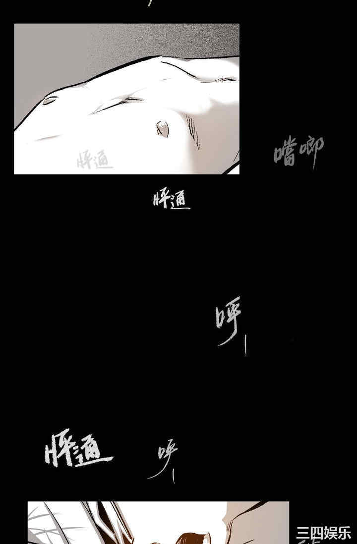 第41张