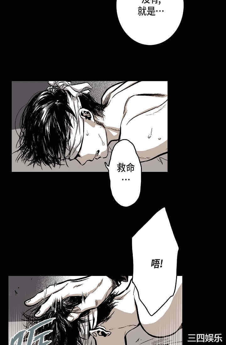 第67张
