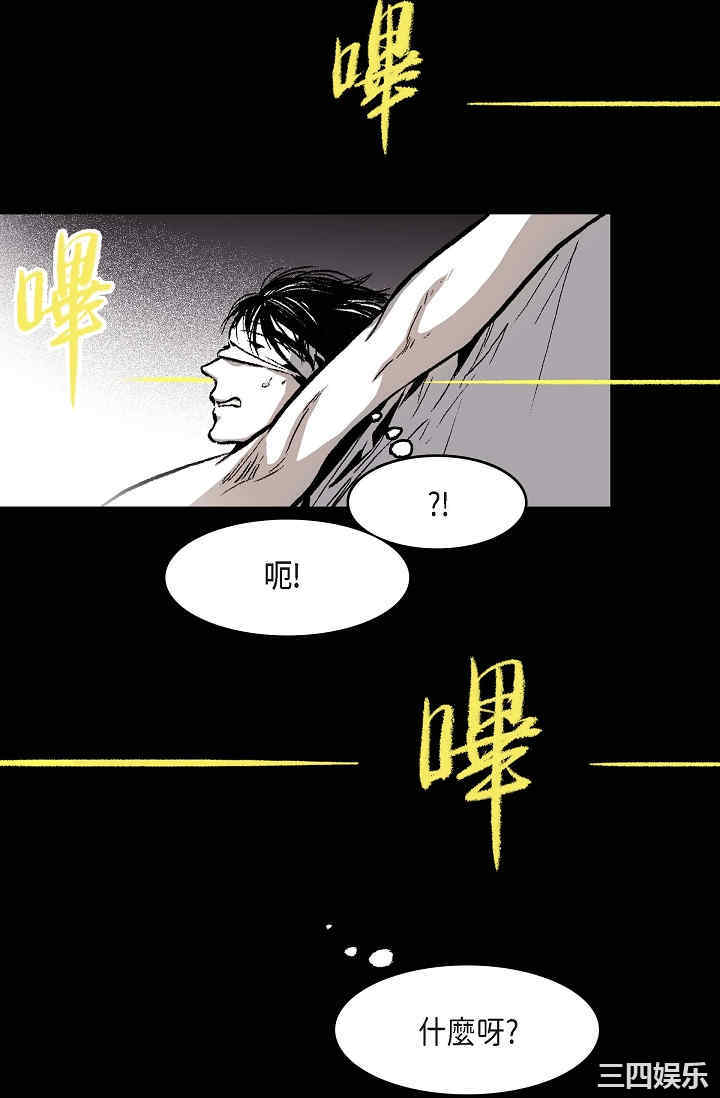 第75张