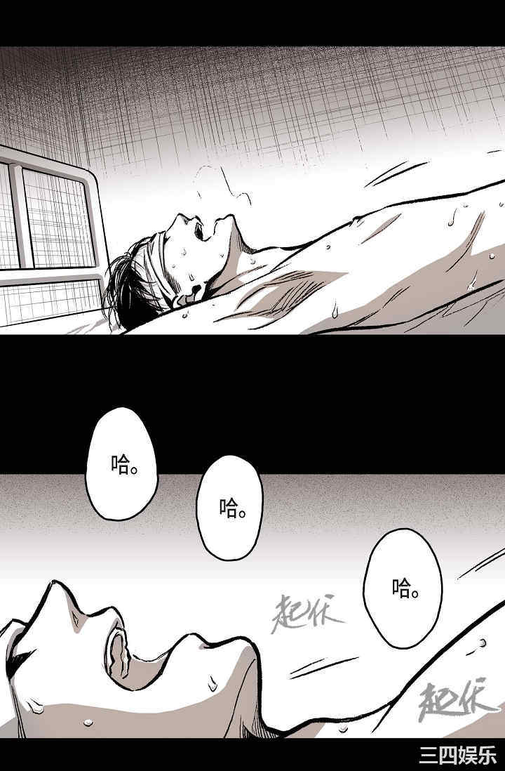 第3张