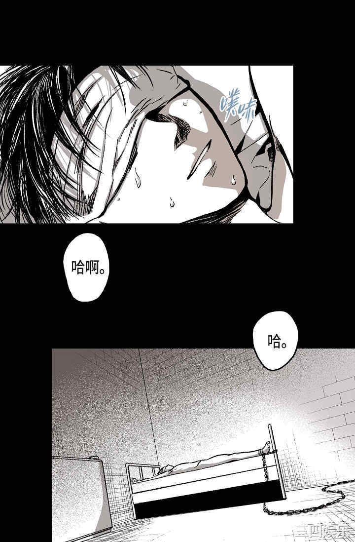 第11张