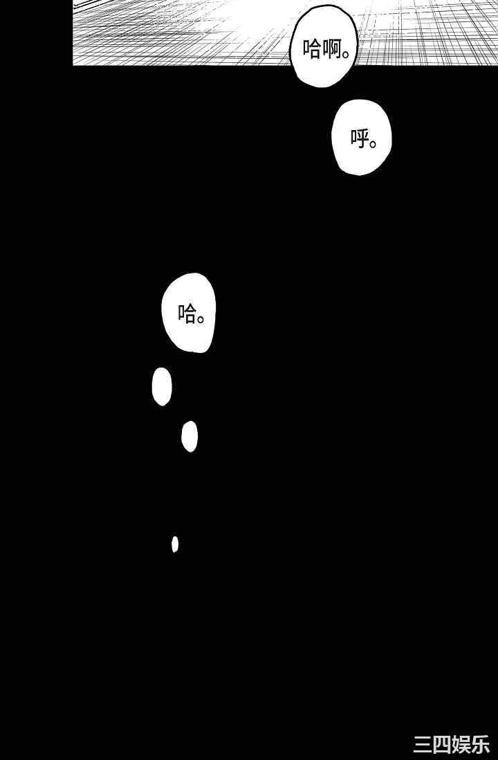 第13张