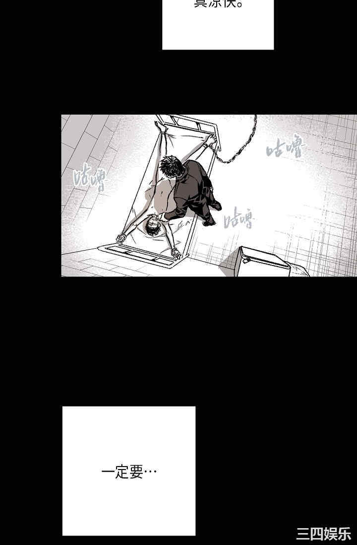 第23张
