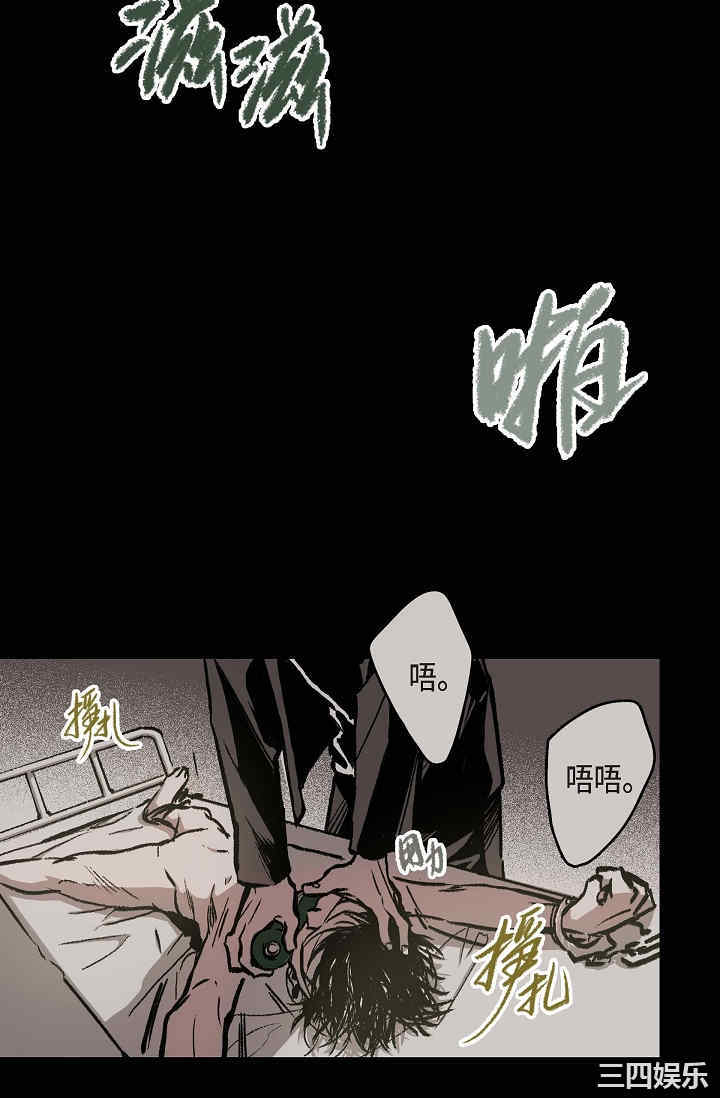 第81张