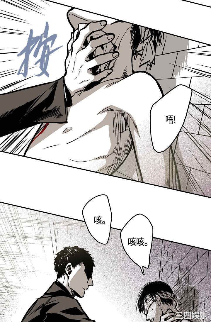 第23张