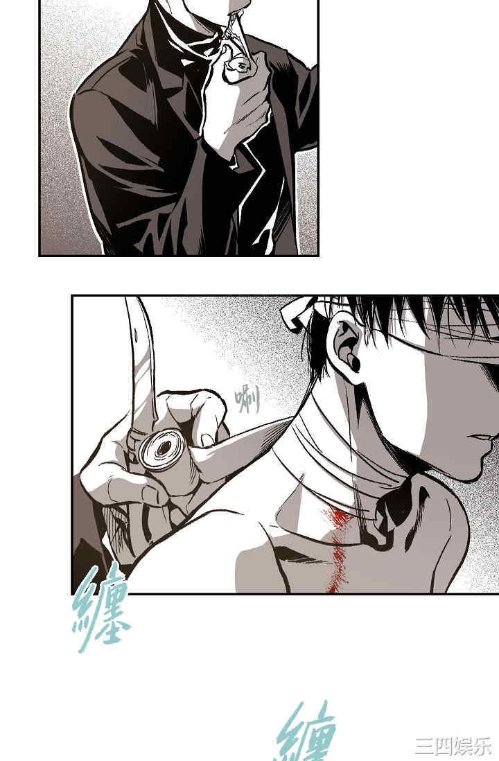 第23张