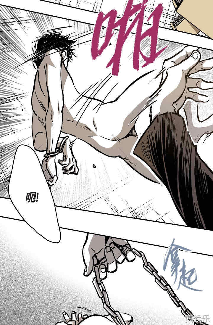 第54张
