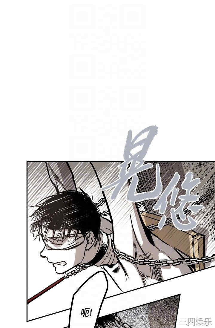 第23张
