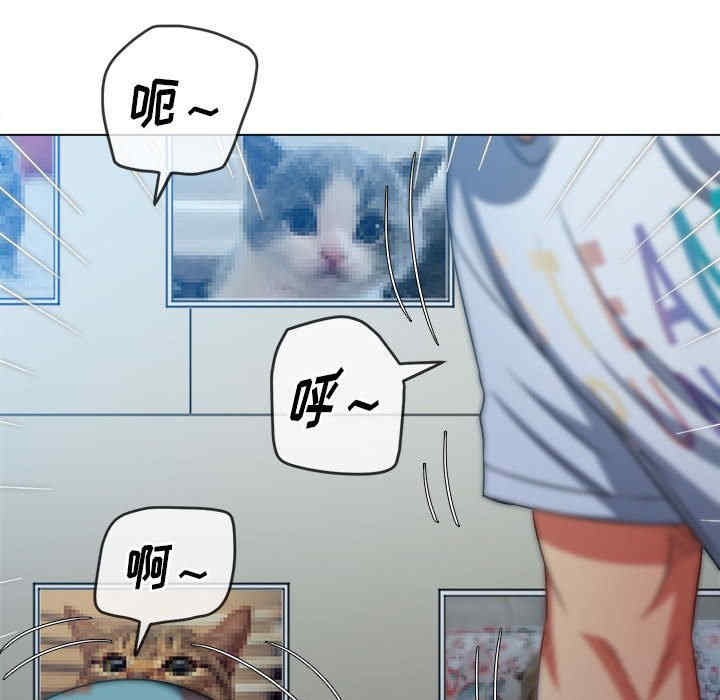 第53张
