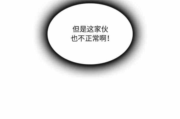 第13张