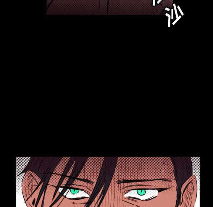 第53张