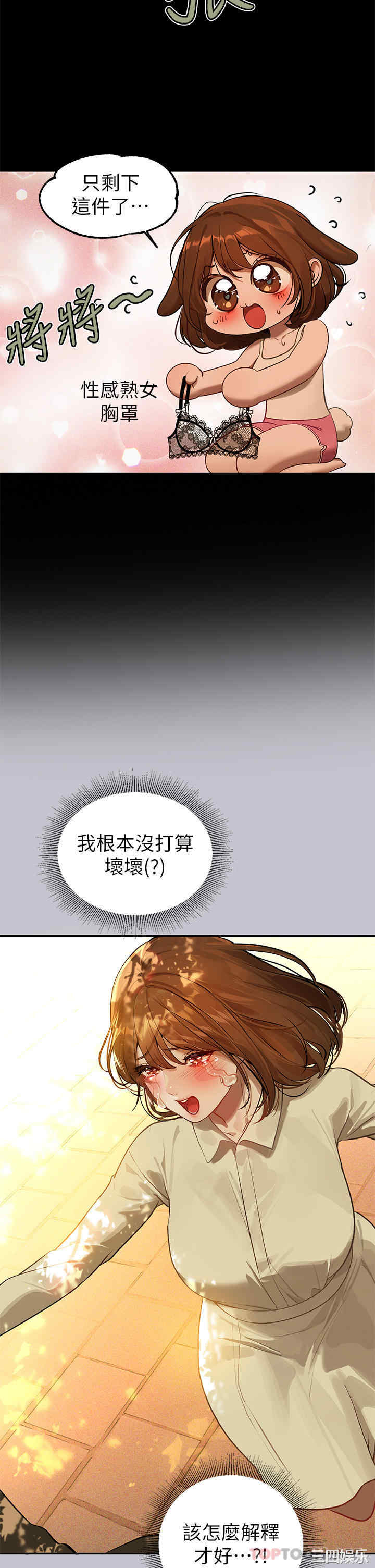 第4张