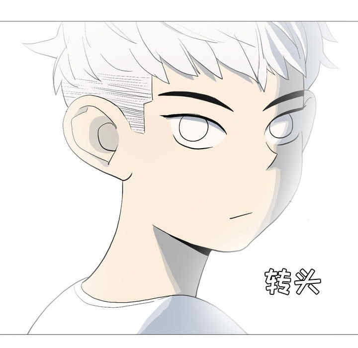 第45张