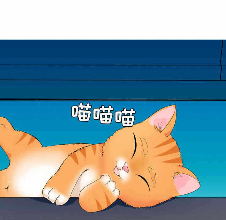 第28张