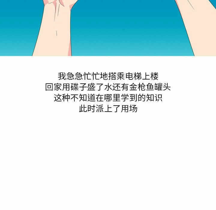 第32张