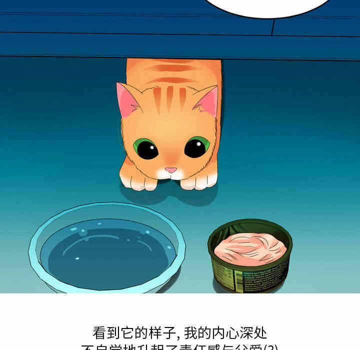 第35张