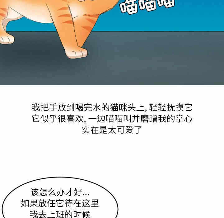 第40张