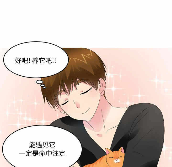 第44张