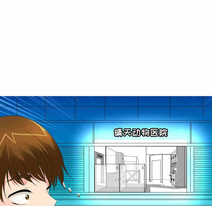 第54张