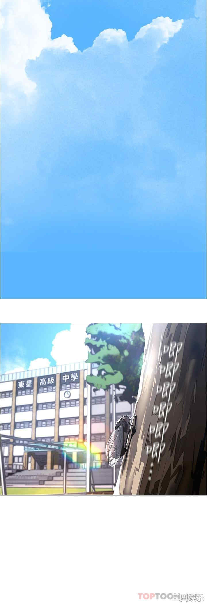 第11张
