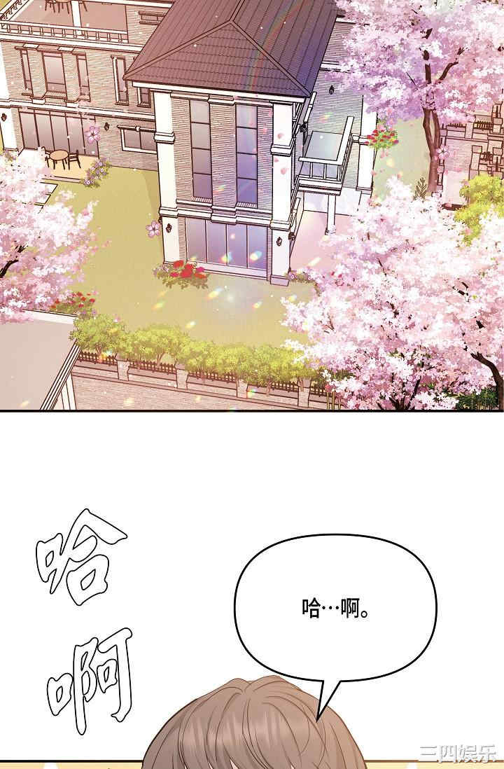第41张