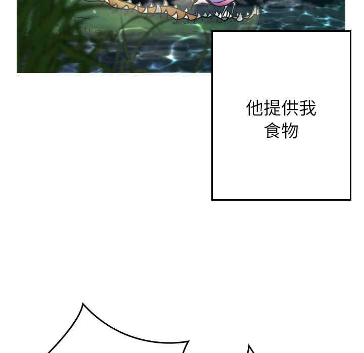 第81张