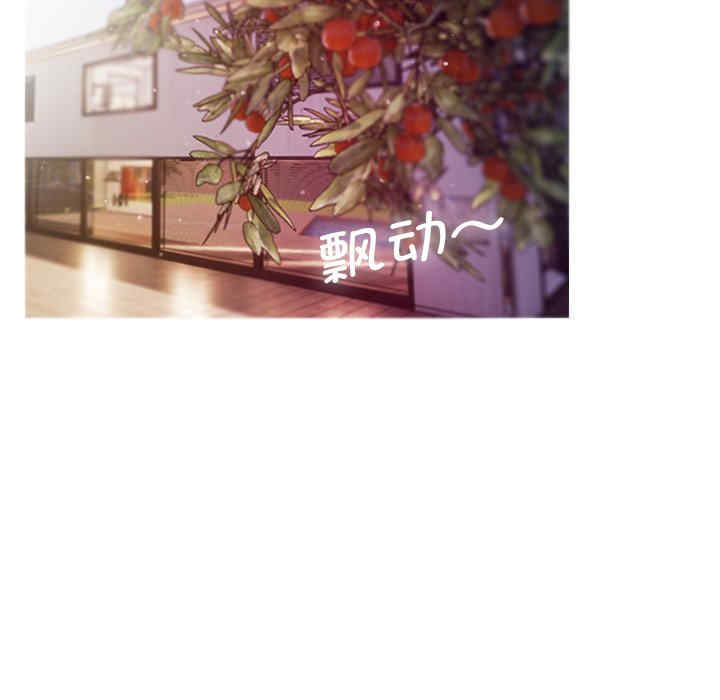 第13张