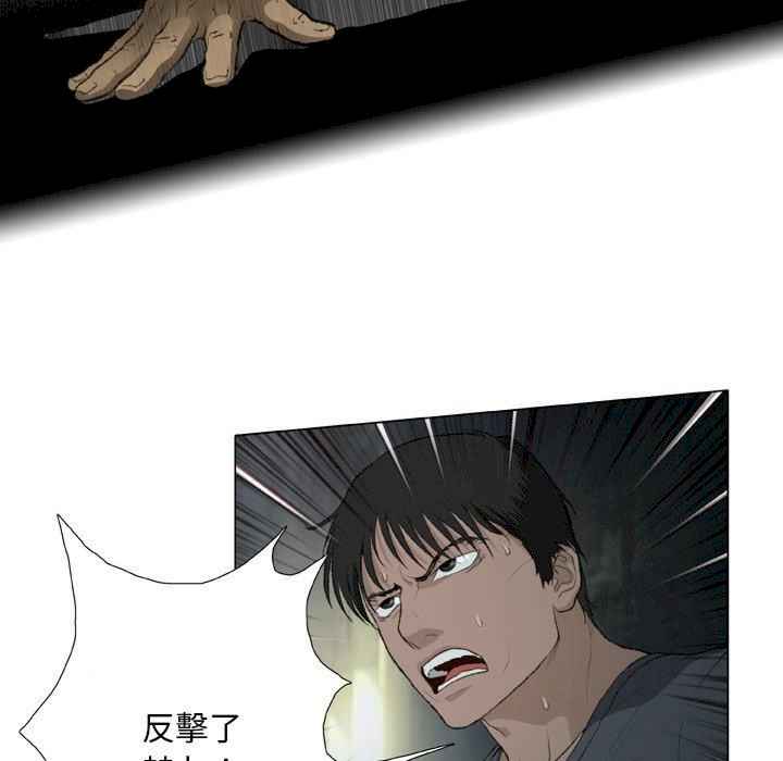 第48张