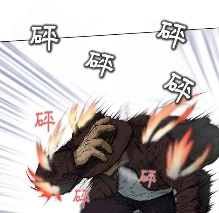 第51张
