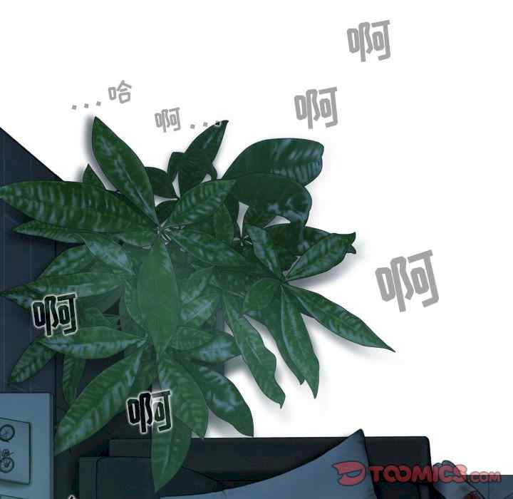 第41张