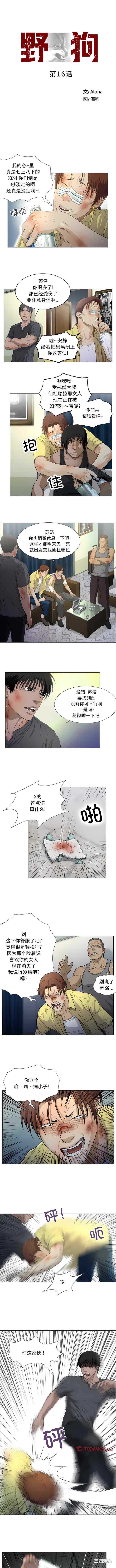 1.jpg