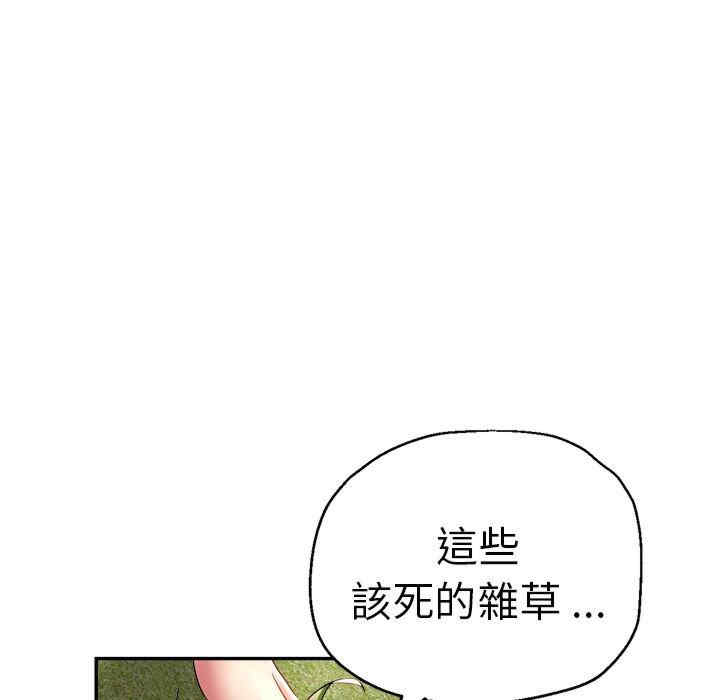 第42张