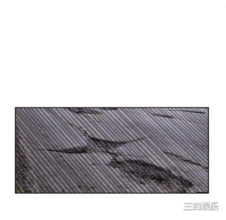 第51张